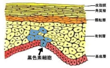 陕西知医堂 为什么会有狐臭 收狐霜可以去除狐臭吗