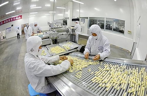 金丝猴奶糖的资本漂流记 从国货骄傲到三度易主与品牌反思